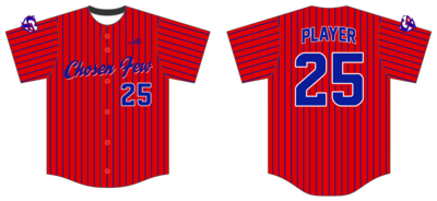 Arkansas Chosen Few Custom HexaFlex Baseball Jersey #J17