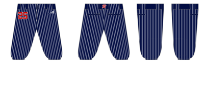 WT Rage Custom Knicker Baseball Pant #BP14D