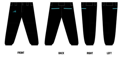 Salina Braves Custom Fastpitch Pant #FP10