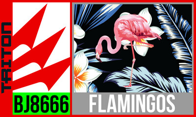 Flamingos