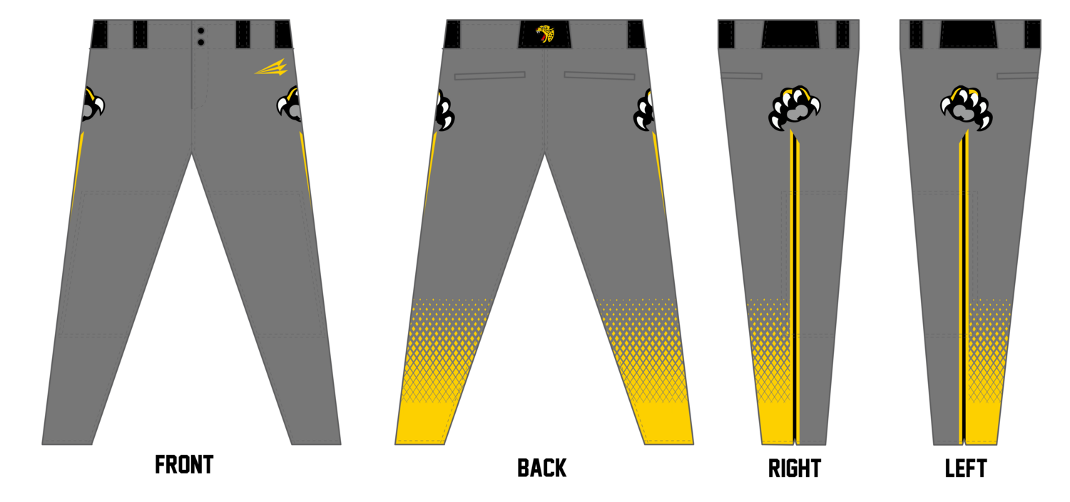 Thomas Jefferson Jaguars Custom Athletic Baseball Pant #BP9C