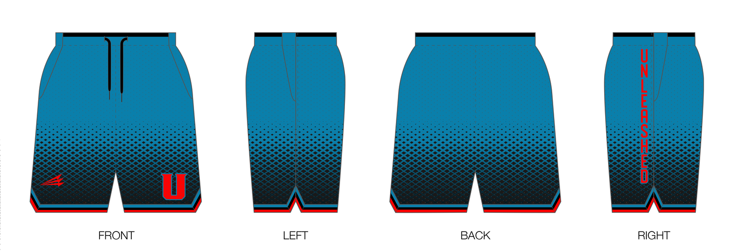Unleashed Athletics Custom Retro Mesh Shorts #MS2
