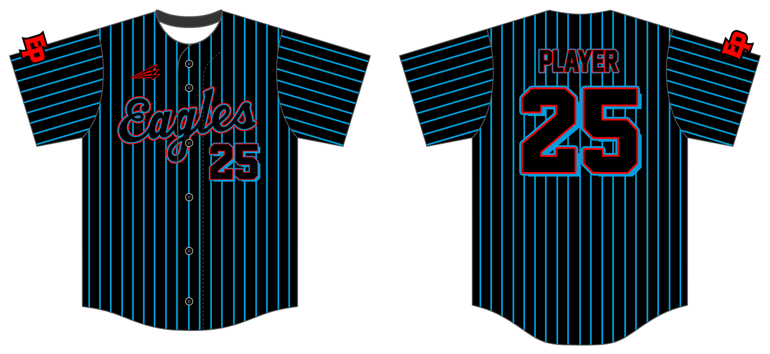 Eden Prairie Eagles Custom HexaFlex Baseball Jersey #J1