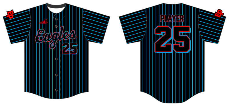 Eden Prairie Eagles Custom HexaFlex Baseball Jersey #J1