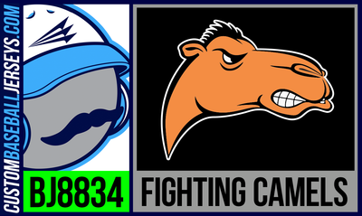 Fighting Camels