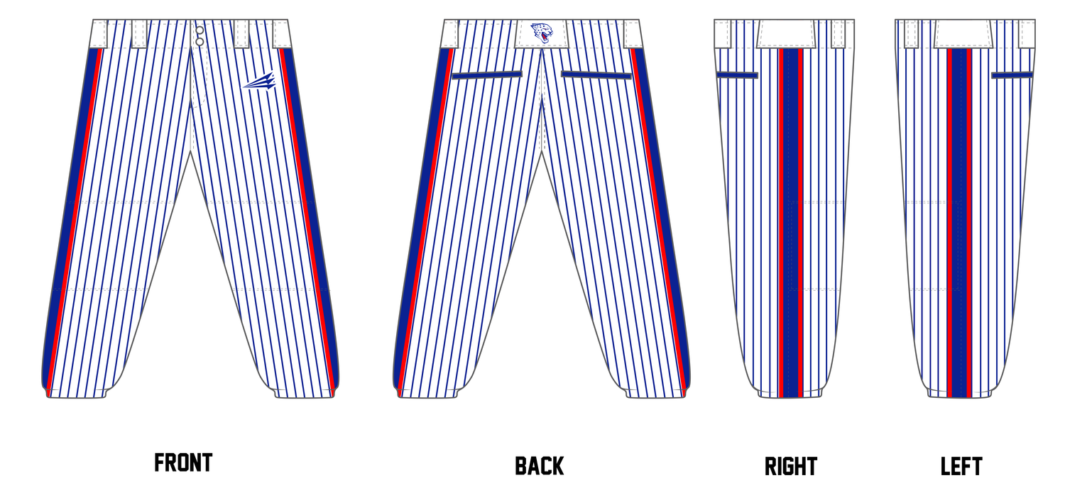 Jaguars (Andersen) Custom Fastpitch Pants #FP5B