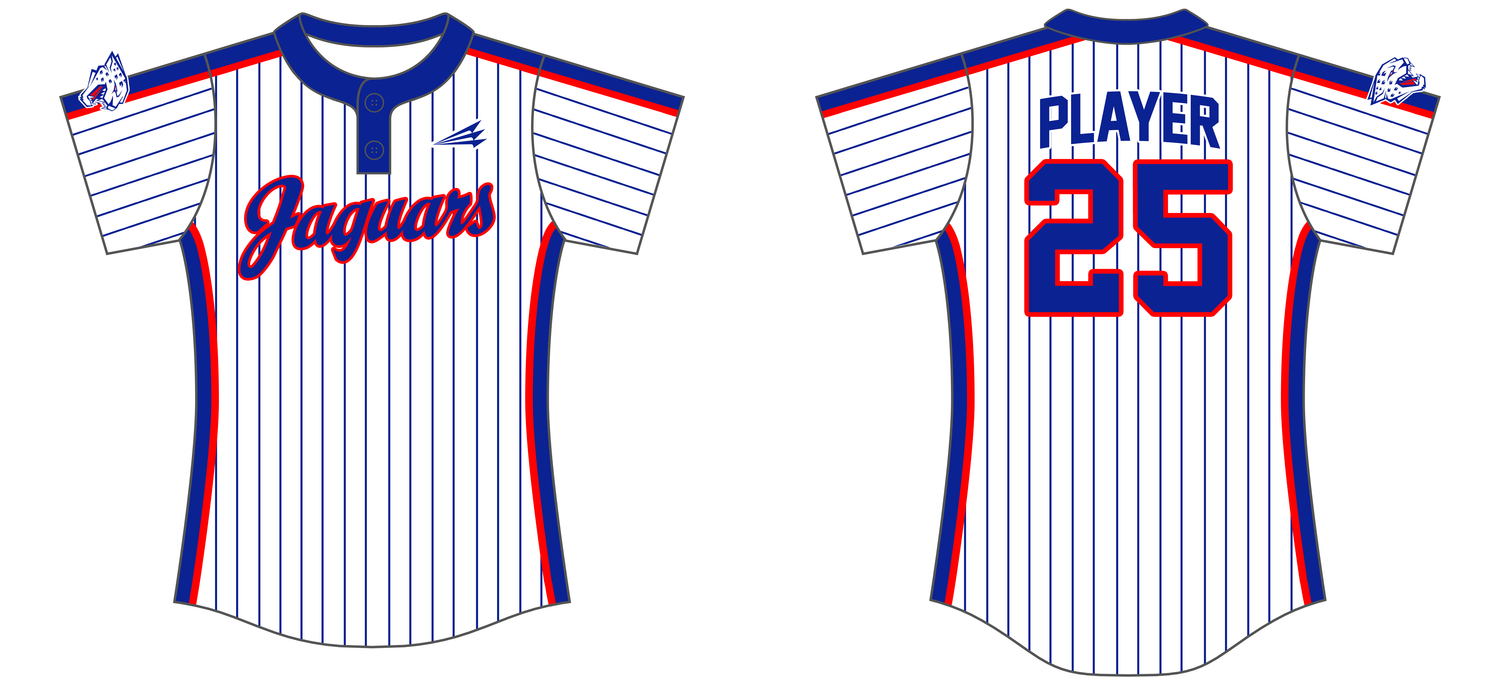 Jaguars (Andersen) Custom Hexaflex Softball Jersey #J5C
