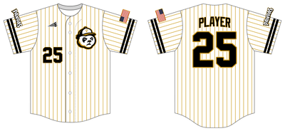 Big League Wiffle Ball Custom HexaFlex Baseball Jersey #J8B