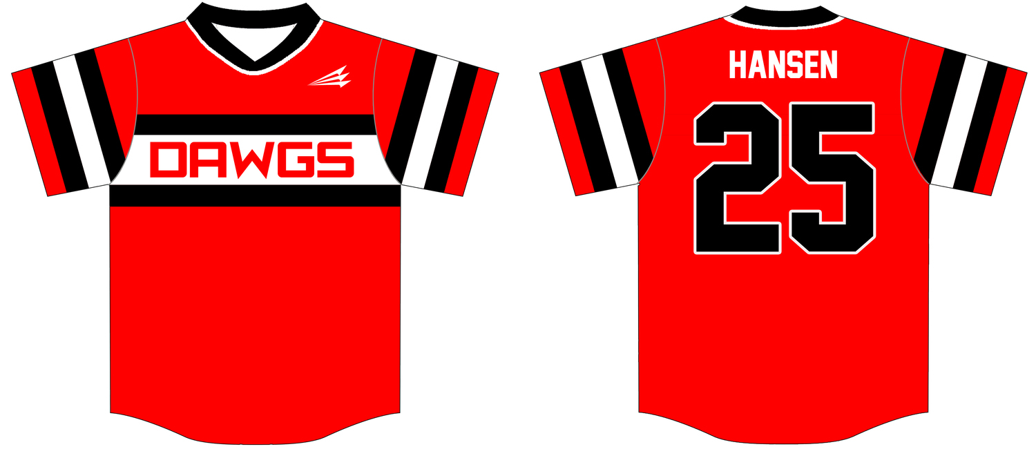 DAWGS Custom Baseball Jersey #3