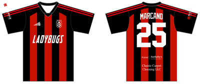 Ladybugs Custom Men&#39;s  HyperDri Soccer Jersey #J5d