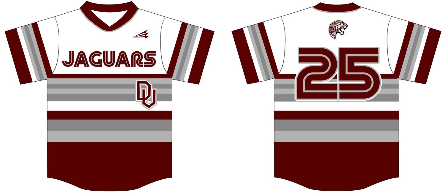 Desert View High Custom Baseball Jersey Design 1c