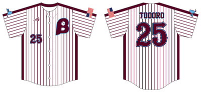 Buffalo Rake of WNY Custom NanoDri Baseball Jersey #J1b