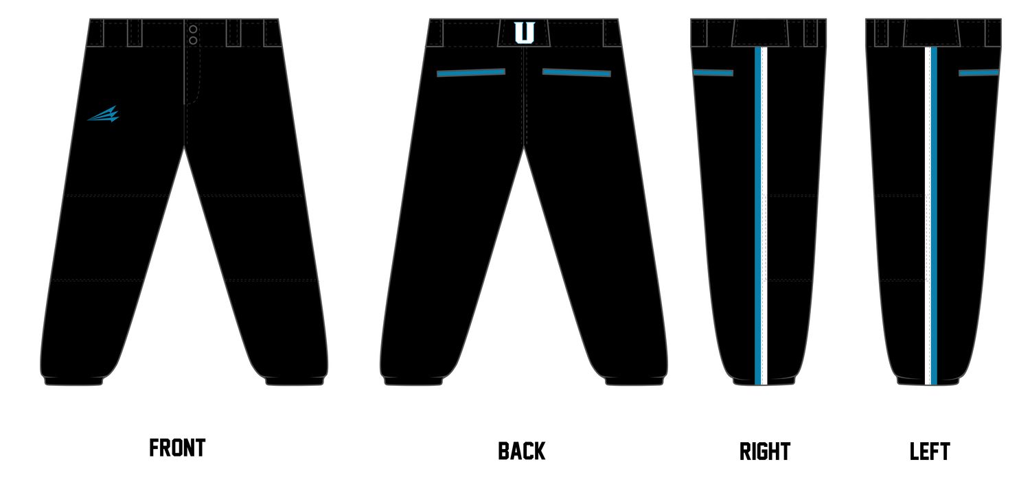 Unleashed Athletics Custom Fastpitch Pant #FP30