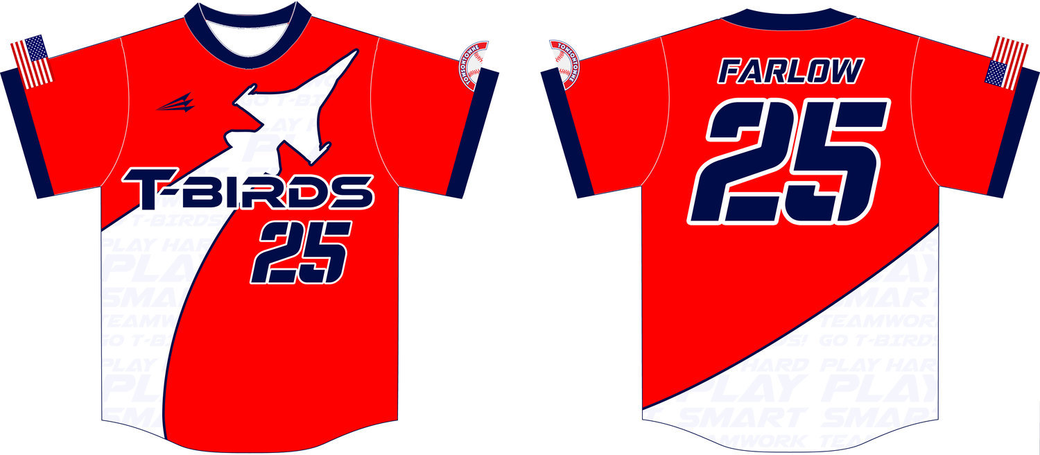 Carroll Manor T-Birds Custom Baseball Jersey Design #2B
