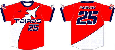 Carroll Manor T-Birds Custom Baseball Jersey Design #2B