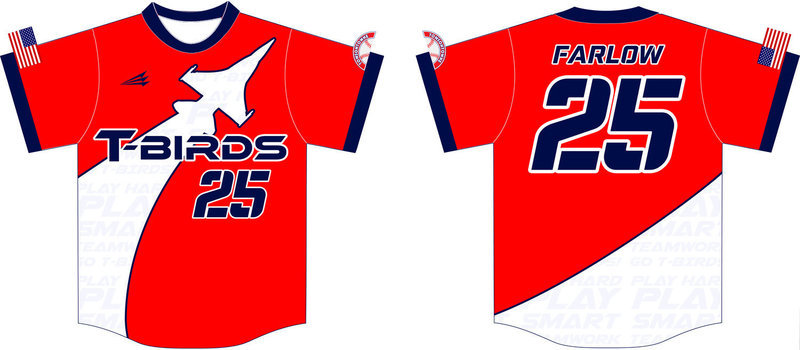 Carroll Manor T-Birds Custom Baseball Jersey Design #2B
