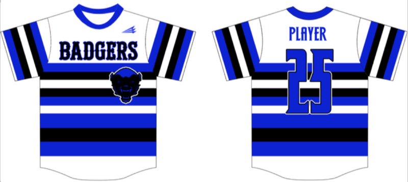 Badgers Custom Baseball Jersey Design #5