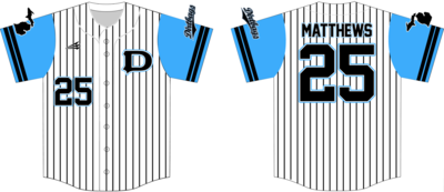 Adrian Dirtbags Custom Baseball Jersey Design #4B