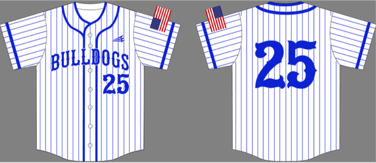 Carlton Bulldogs Custom Baseball Jersey #2