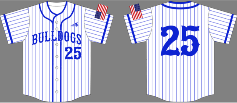 Carlton Bulldogs Custom Baseball Jersey #2