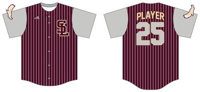 Silver Lake Eagles Custom NanoDri Baseball Jersey #J2D