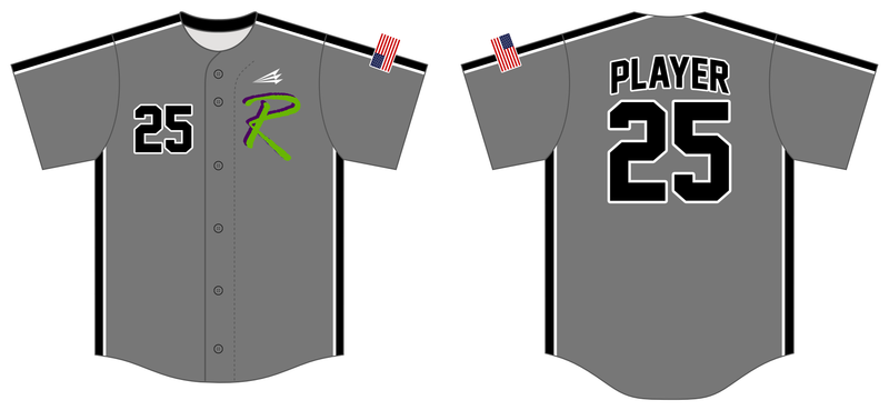 Renegades (Johnson) Custom NanoDri Baseball Jersey #J3