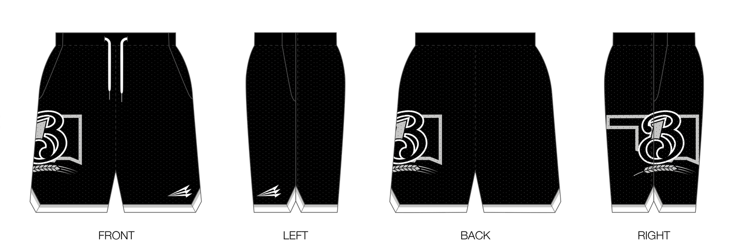 Brewer Baseball Custom Retro Mesh Shorts #MS1