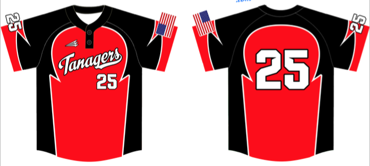 Hartford Tanagers Custom Baseball Jersey #3D