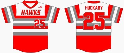 Texas Hawks Custom Baseball Jersey Design #1