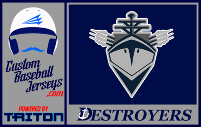 Fleet Destroyers