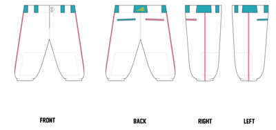 Chiville Sharx Custom Knicker Baseball Pant #BP6E