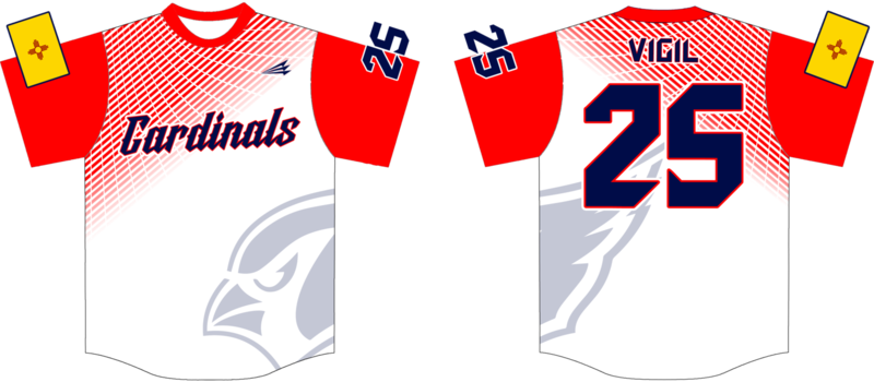 Farmington Cardinals Custom Baseball Jersey Design #3B