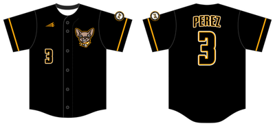 Prodigy Baseball Miami Custom Nanodri Baseball Jersey #J23