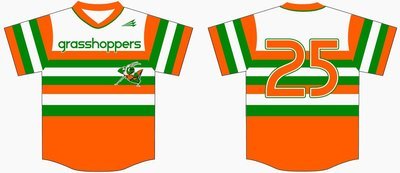 Grasshoppers Custom Baseball Jersey #5C