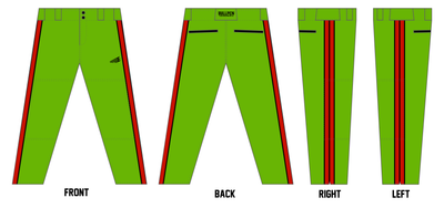 Snapping Turtles Custom Athletic Fit Baseball Pant #BP1