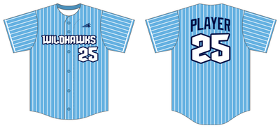 Wildhawks Custom Hexaflex Baseball Jersey #J2