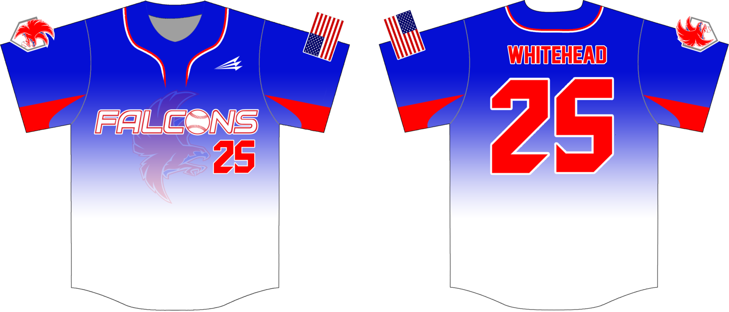 Twin City Falcons Custom NanoDri Baseball Jersey #4d2