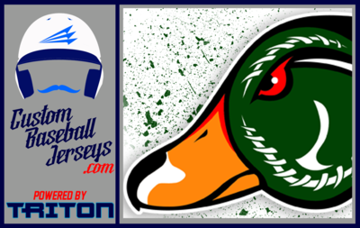 Fighting Wood Ducks Baseball