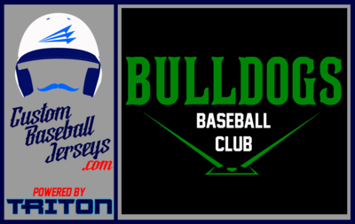 Virgin Valley Bulldogs Baseball