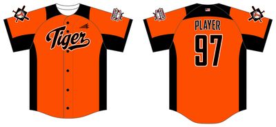 Aurora Legion Travel Custom HexaFlex Baseball Jersey #J13E