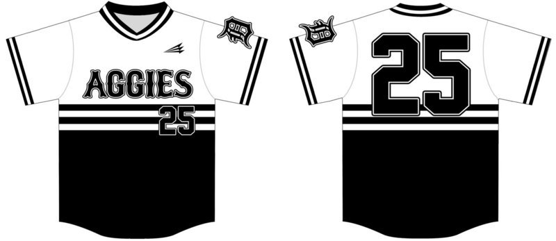 Dansville Aggies Custom HexaFlex Baseball Jersey #5b