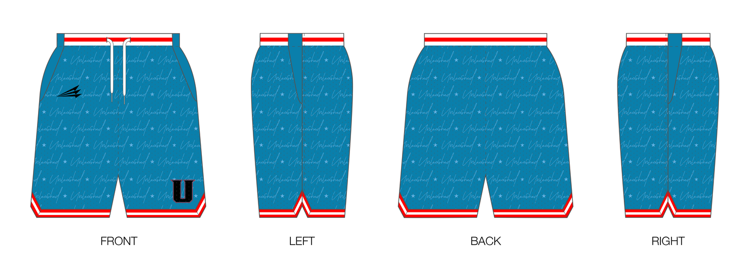 Unleashed Athletics Custom Retro Mesh Shorts #MS8C