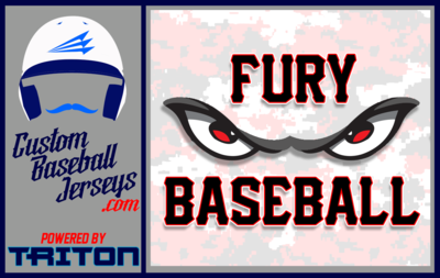 Fury Baseball (Holtz)