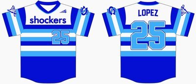Chicago Shockers Custom NanoDri Baseball Jersey #5b