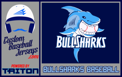 Chesapeake BullSharks