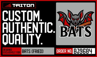 Bats (Fried)