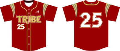 Tennessee Tribe Custom HexaFlex Baseball Jersey #1C