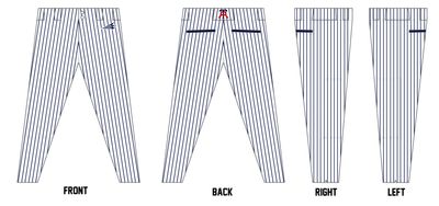 Arlington Twins Custom Athletic Baseball Pant #BP2C
