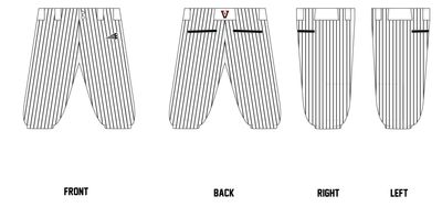 Metter Vipers Custom Knicker Baseball Pants #BP3B