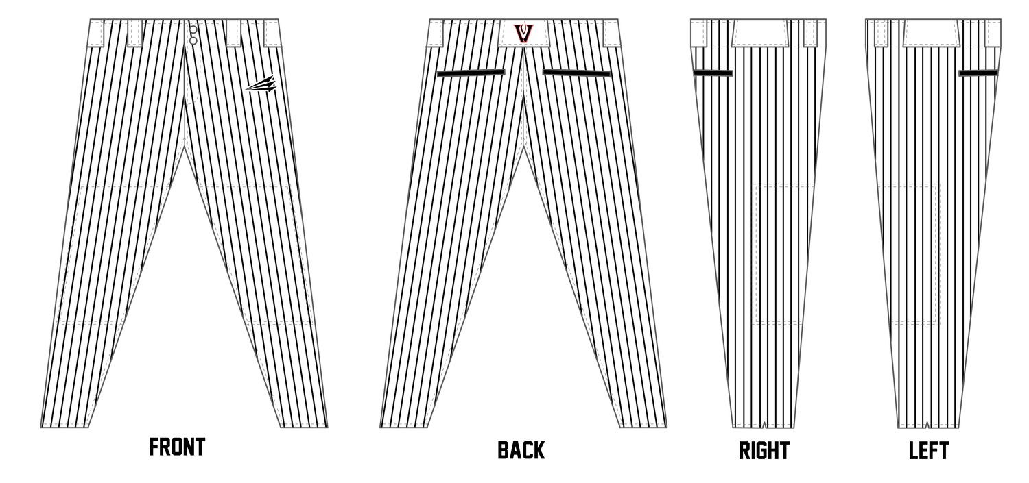 Metter Vipers Custom Pro-Fit Baseball Pants #BP3D